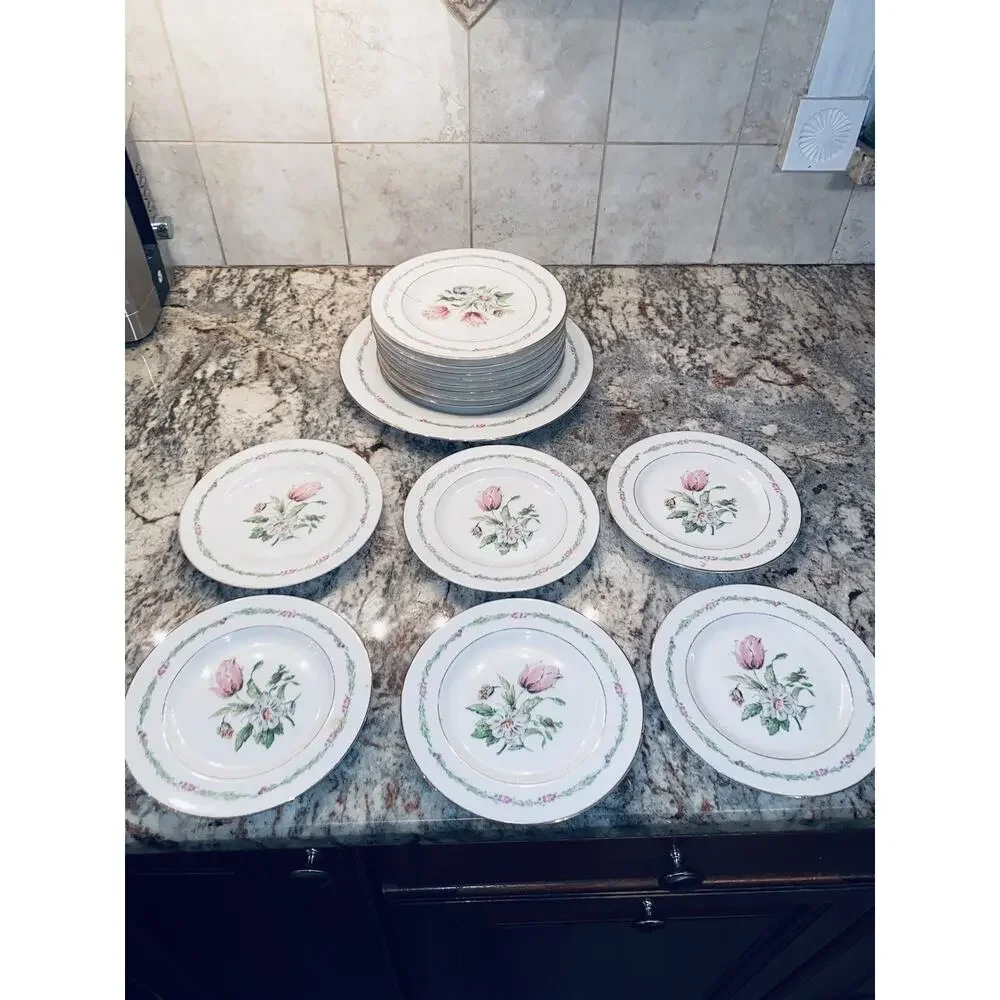 20 Theodore Haviland China New York Garden Flower Dinner Plates Lot Set Vintage